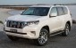 Toyota trì hoãn ra mắt Land Cruiser Prado thế hệ mới bởi lý do bất ngờ?